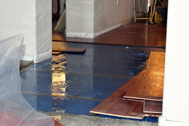 Professional Emergency Water Damage Restoration technician working in Kingston, NJ